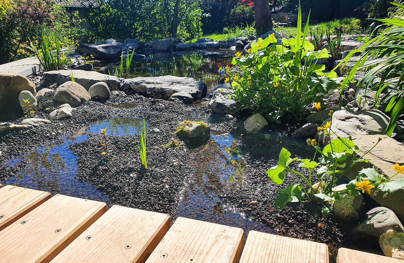 Teichbau